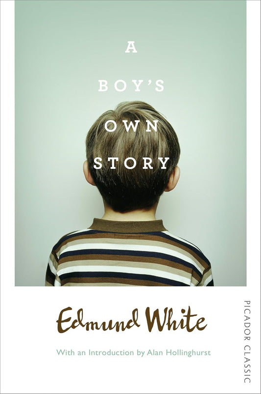 The book cover for A Boy's Own Story has a mid-shot photograph of a white boy, with his back facing us. He has show brown hair and is wearing a muted, striped long-sleeved shirt. 