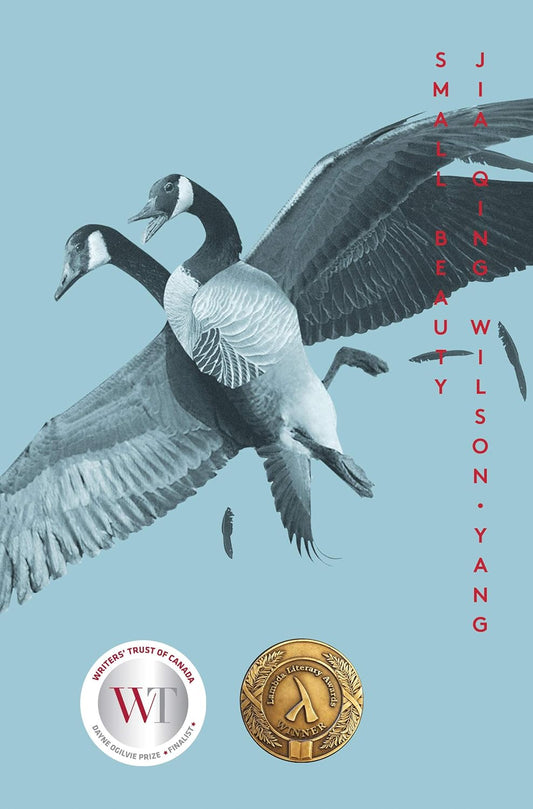 The book cover of Small Beauty - two birds with their wings wide open are in the centre of a grey-blue cover.
